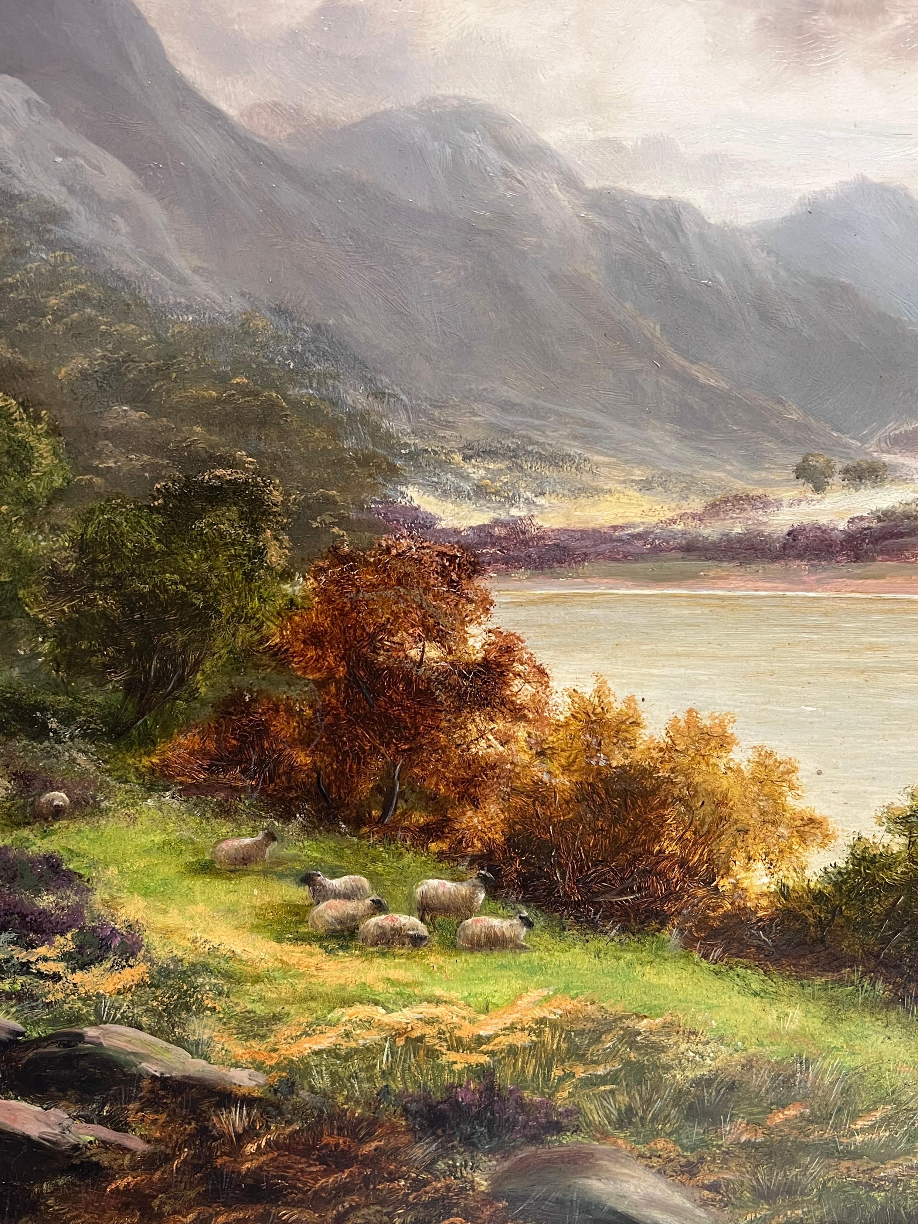 Antique British Pintura al óleo firmada Paisaje pastoral de las tierras altas Ovejas pastando - Painting Victoriano de Frank Clark (British, 20th century)
