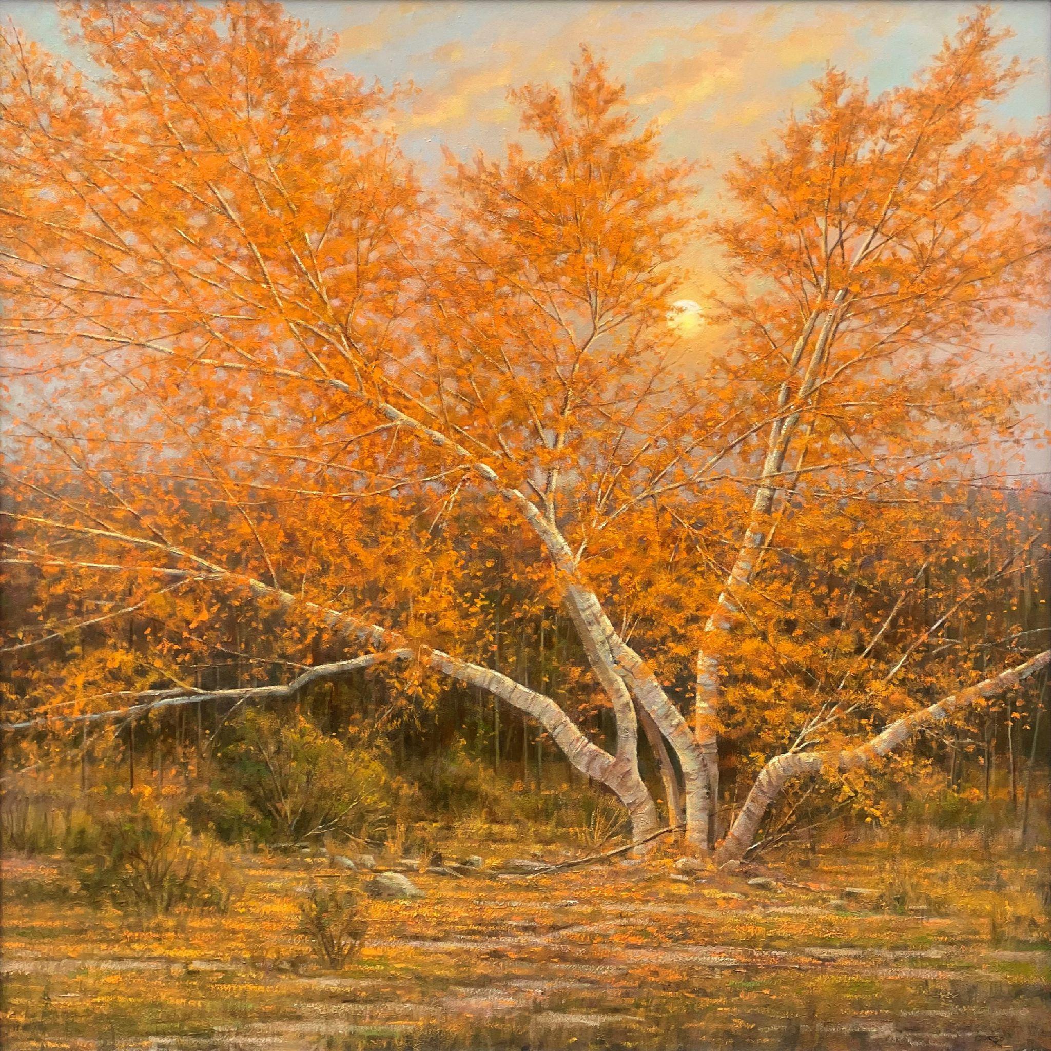Fallen Leaves