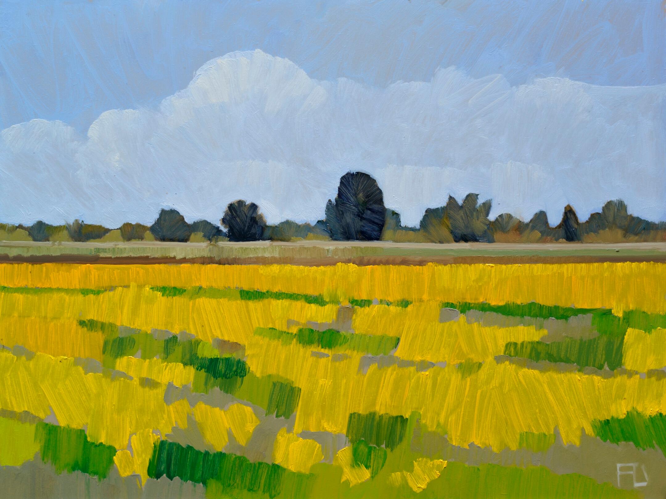 Landscape Painting Frank Dekkers - Prairie fleurie  - Peinture de paysage impressionniste contemporaine du 21e siècle