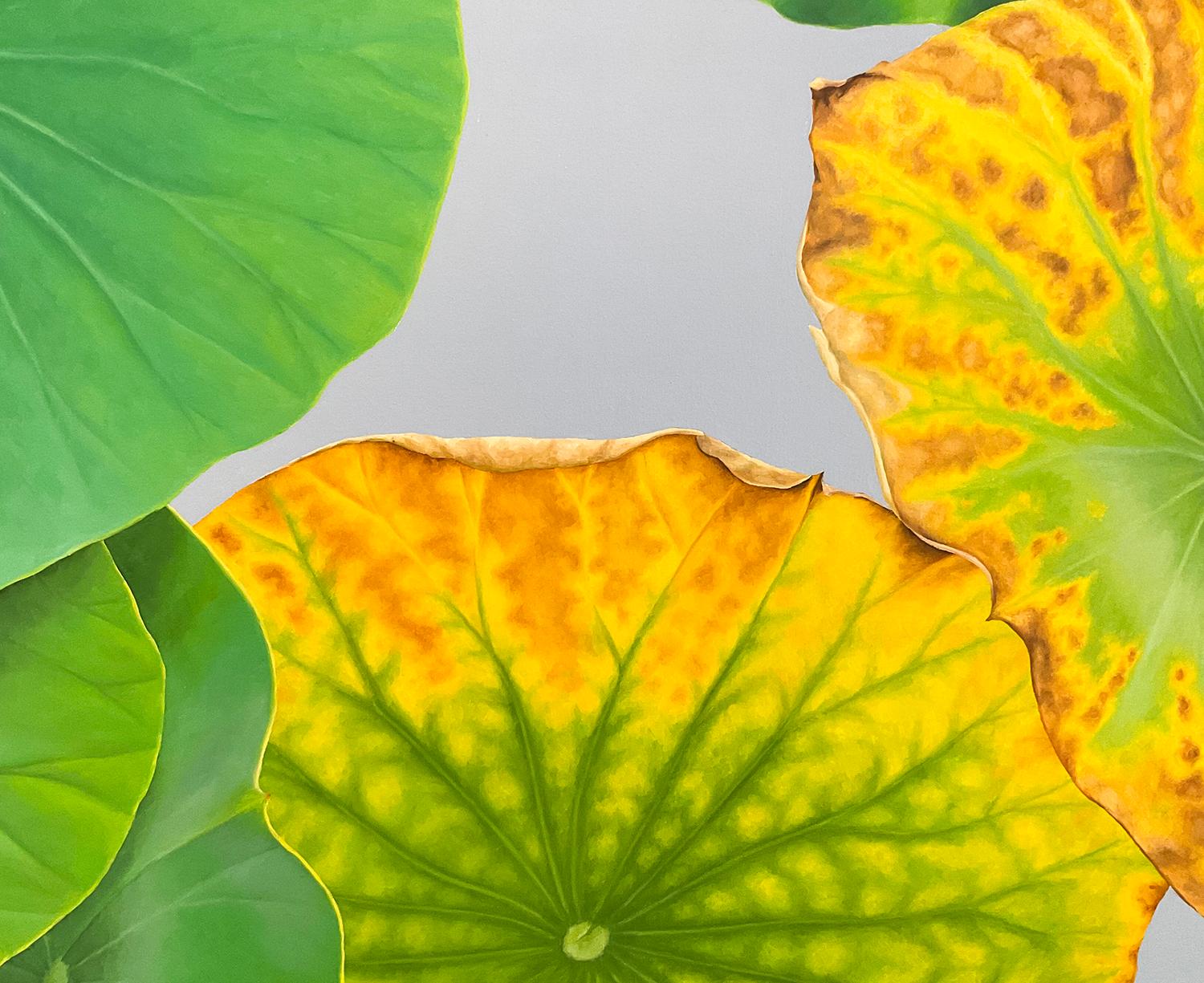 Lotus 30 : Nature morte réaliste photographique d'une feuille de lotus verte sur gris  - Photoréalisme Painting par Frank DePietro
