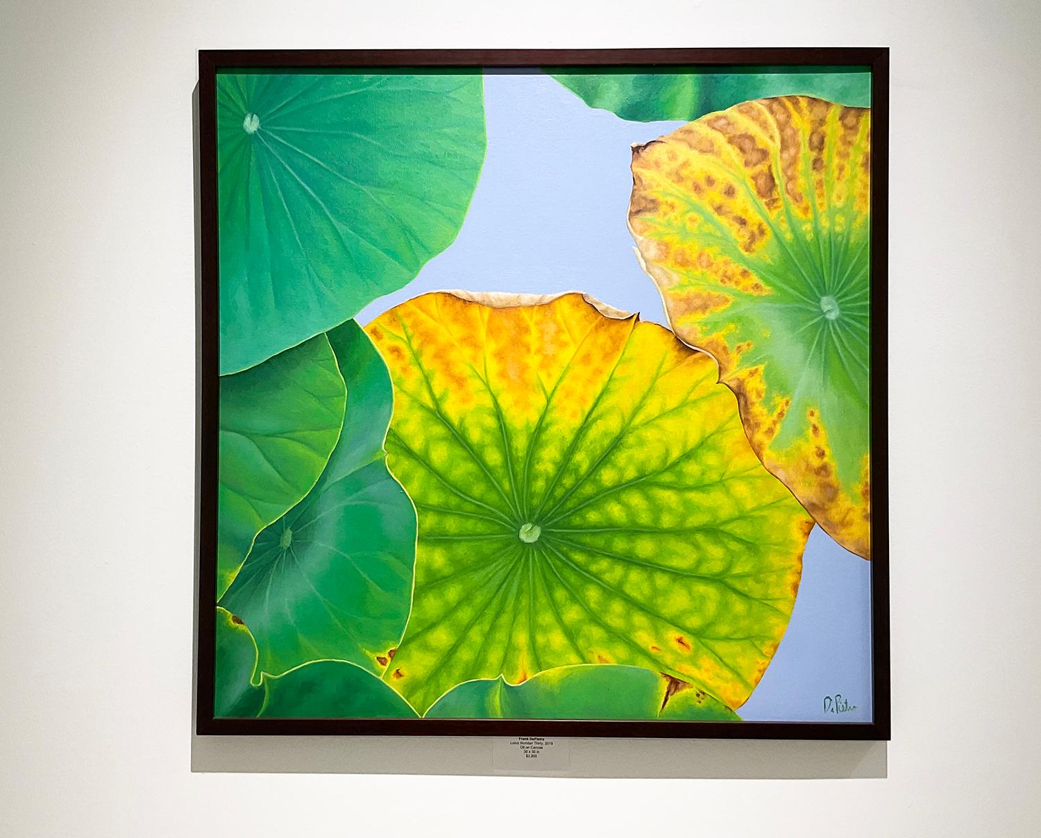 Lotus 30 : Nature morte réaliste photographique d'une feuille de lotus verte sur gris  - Painting de Frank DePietro