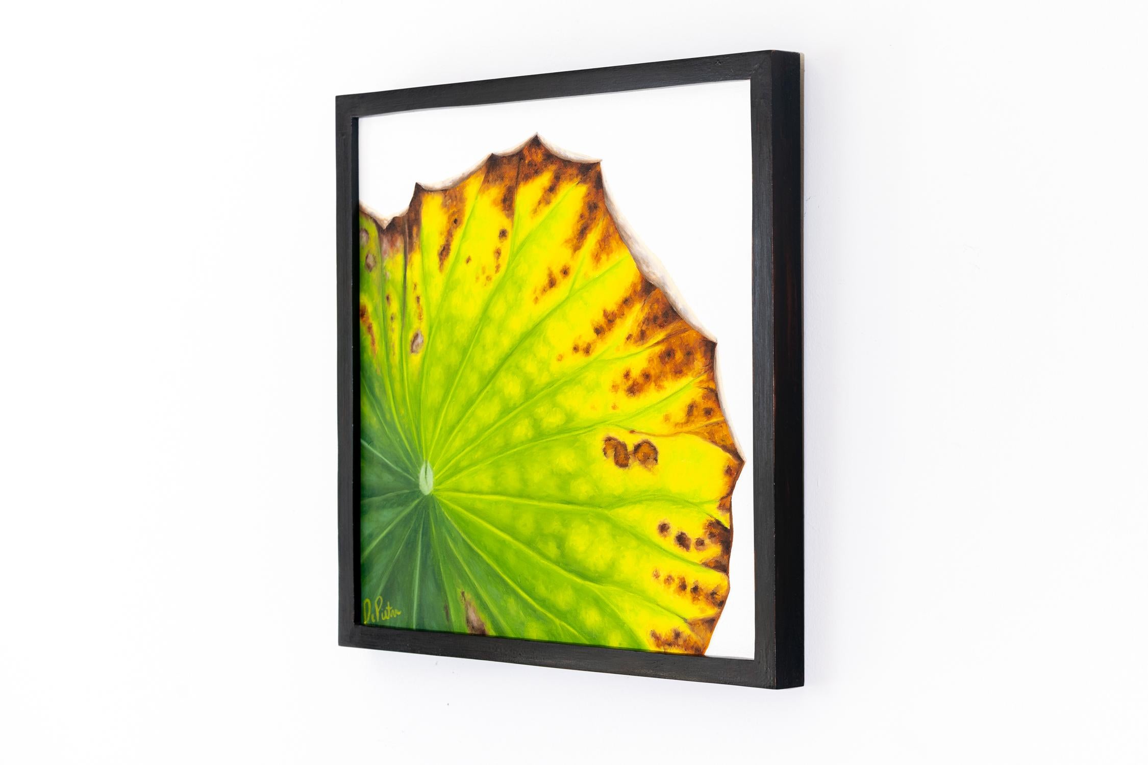 Lotus 68: Foto Realistisches Stillleben mit einem grünen Lotusblatt auf Grau  – Painting von Frank DePietro