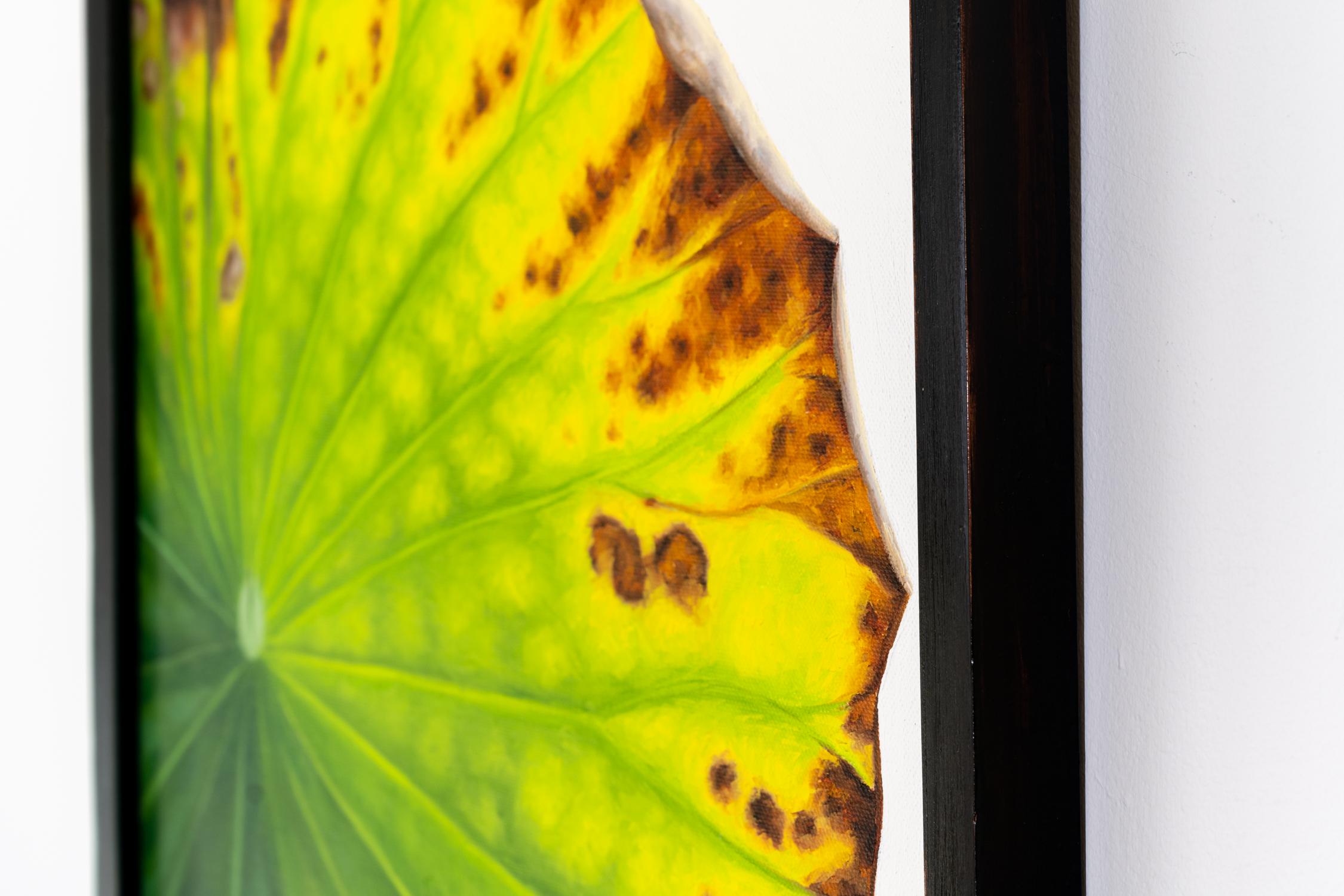 Lotus 68: Foto Realistisches Stillleben mit einem grünen Lotusblatt auf Grau  (Fotorealismus), Painting, von Frank DePietro