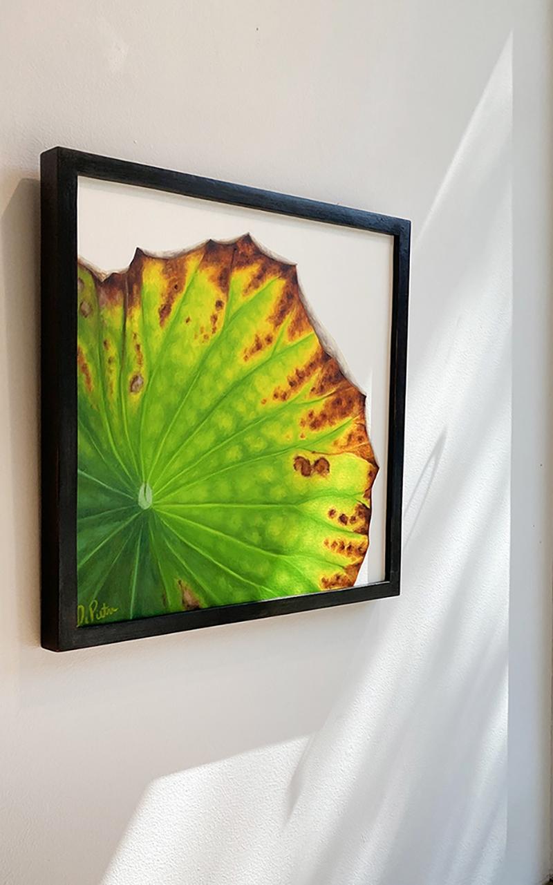 Lotus 68 : Nature morte réaliste photographique d'une feuille de lotus verte sur gris  - Vert Still-Life Painting par Frank DePietro