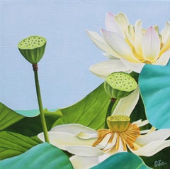 Lotus Flower 84: Photorealist Botanical Still Life Painting of White Flowers