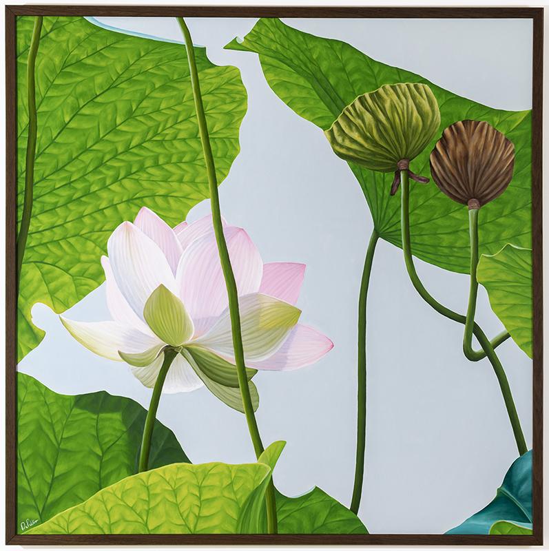 Frank DePietro Landscape Painting – Lotus No. 65 (fotorealistisches Stillleben mit rosa und grünen Lotusblumen)