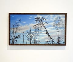 Meadow Study 2 (Photo-Realist Landscape Painting of Meadow Foliage & Blue Sky)