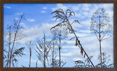Meadow Study 2 (Photo-Realist Landscape Painting of Meadow Foliage & Blue Sky)