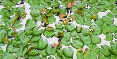 Water Lilies 62: Photorealist Still Life, Landscape Painting of Green Flowers