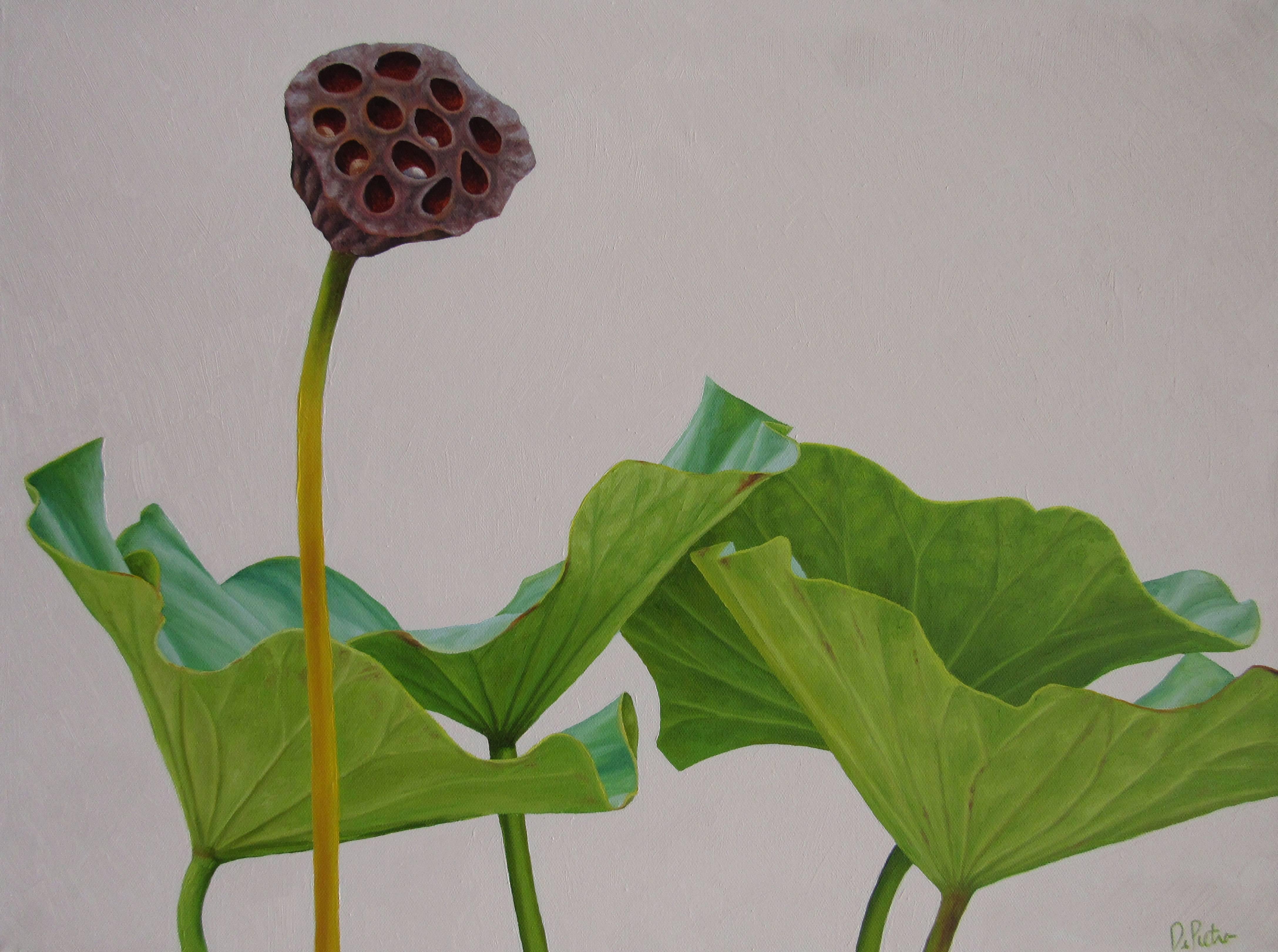 Lotus No. 7 (Hard Edge Realist Oil Painting of Lotus Leaves and stems)
