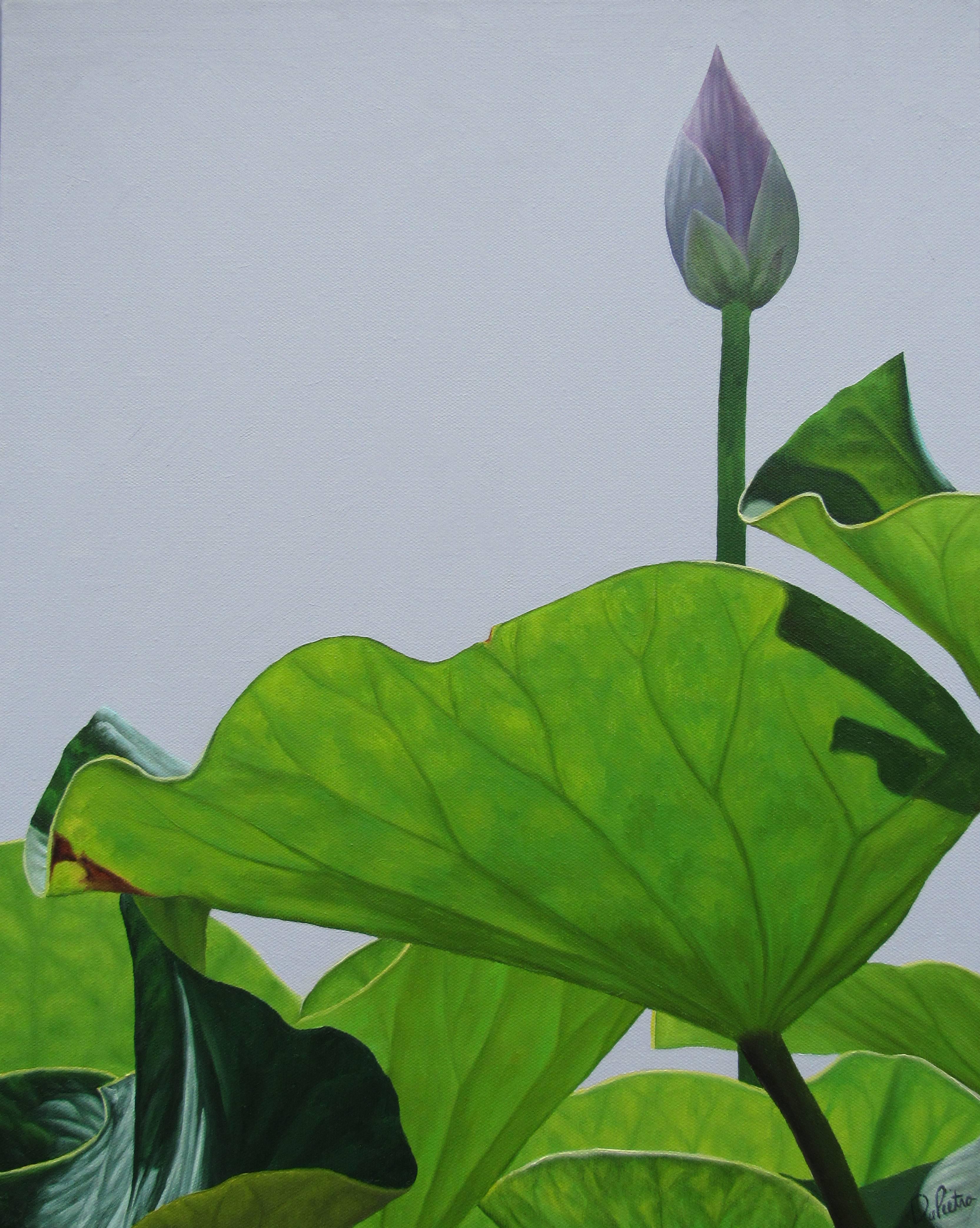 Lotus No. 8 (Realist Still Life Painting of Green lotus leaves and flower buds)