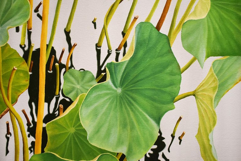 36 x 21 x 1.5 inches
oil on canvas

Painted with the exactness of a photograph, one can hardly believe that this work is an oil painting by contemporary artist Frank DiPietro.  Broad, green lotus leaves reflect the sunlight as their reflections cast
