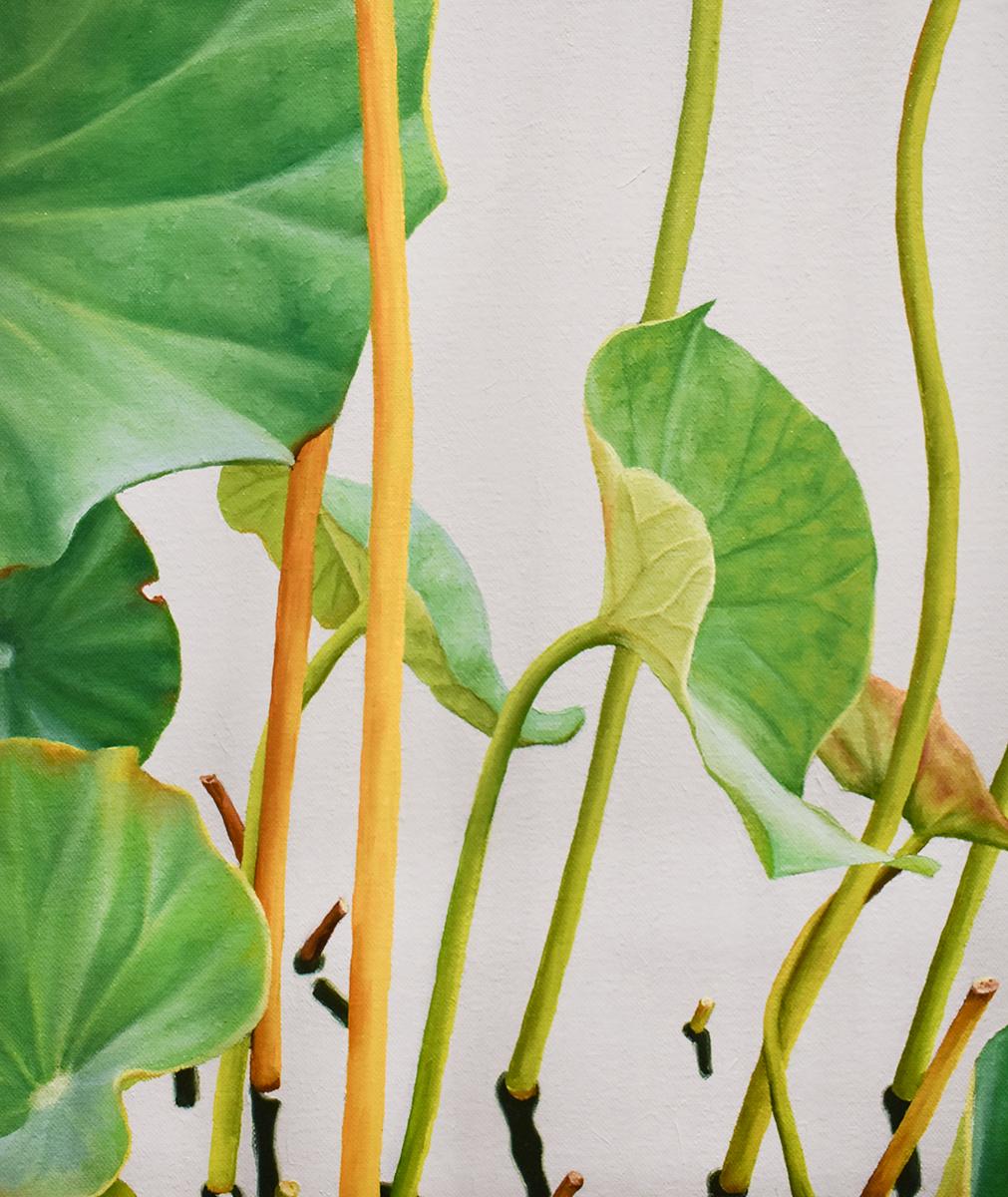 lotus leaf painting