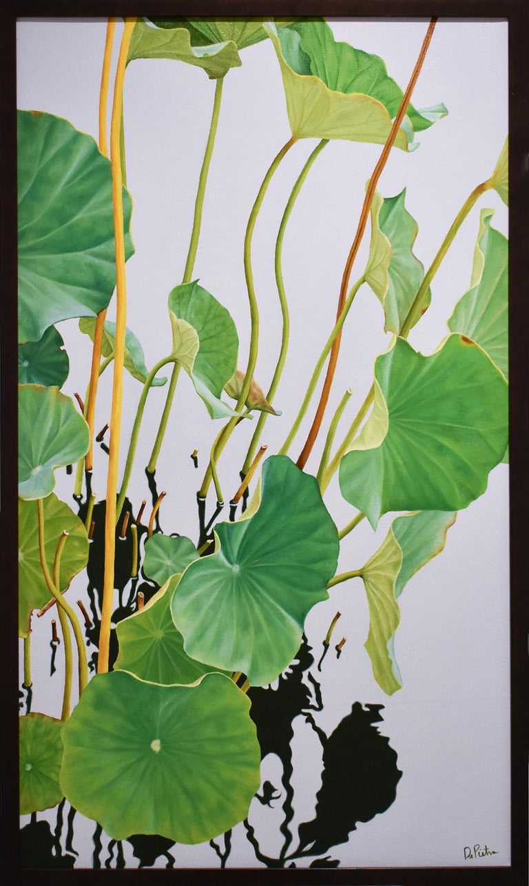Frank DePietro Still-Life Painting - Lotus No. Five (Hard Edge Realist Painting of Lotus Leaves Reflected in Water)