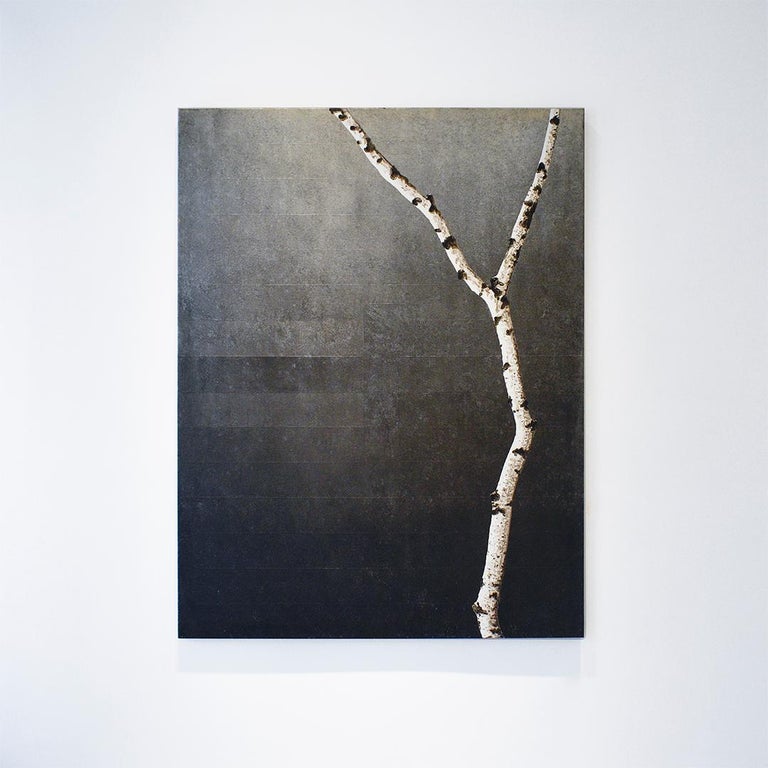 Frank Faulkner Birches Ii Contemporary Minimalist Painting W