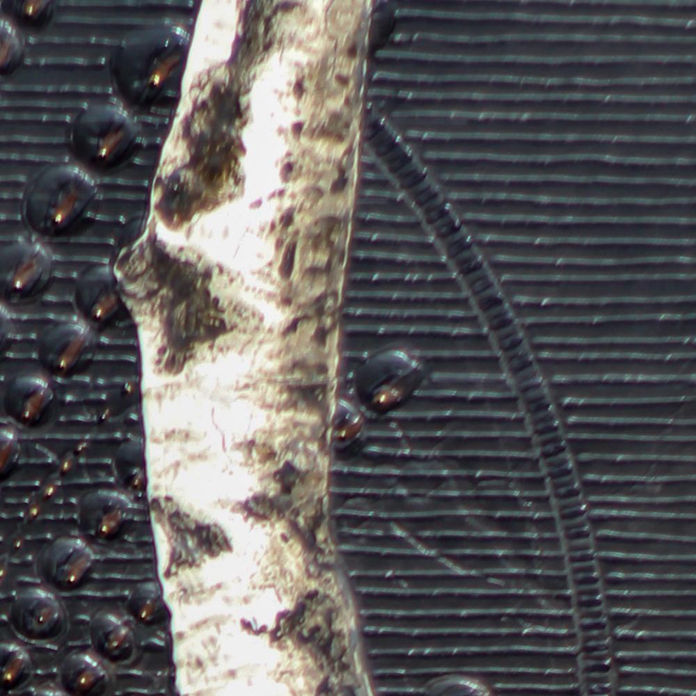Birches V: Minimalistisches Gemälde von Birkenbäumenzweigen auf dunkler Metallic-Oberfläche im Angebot 4