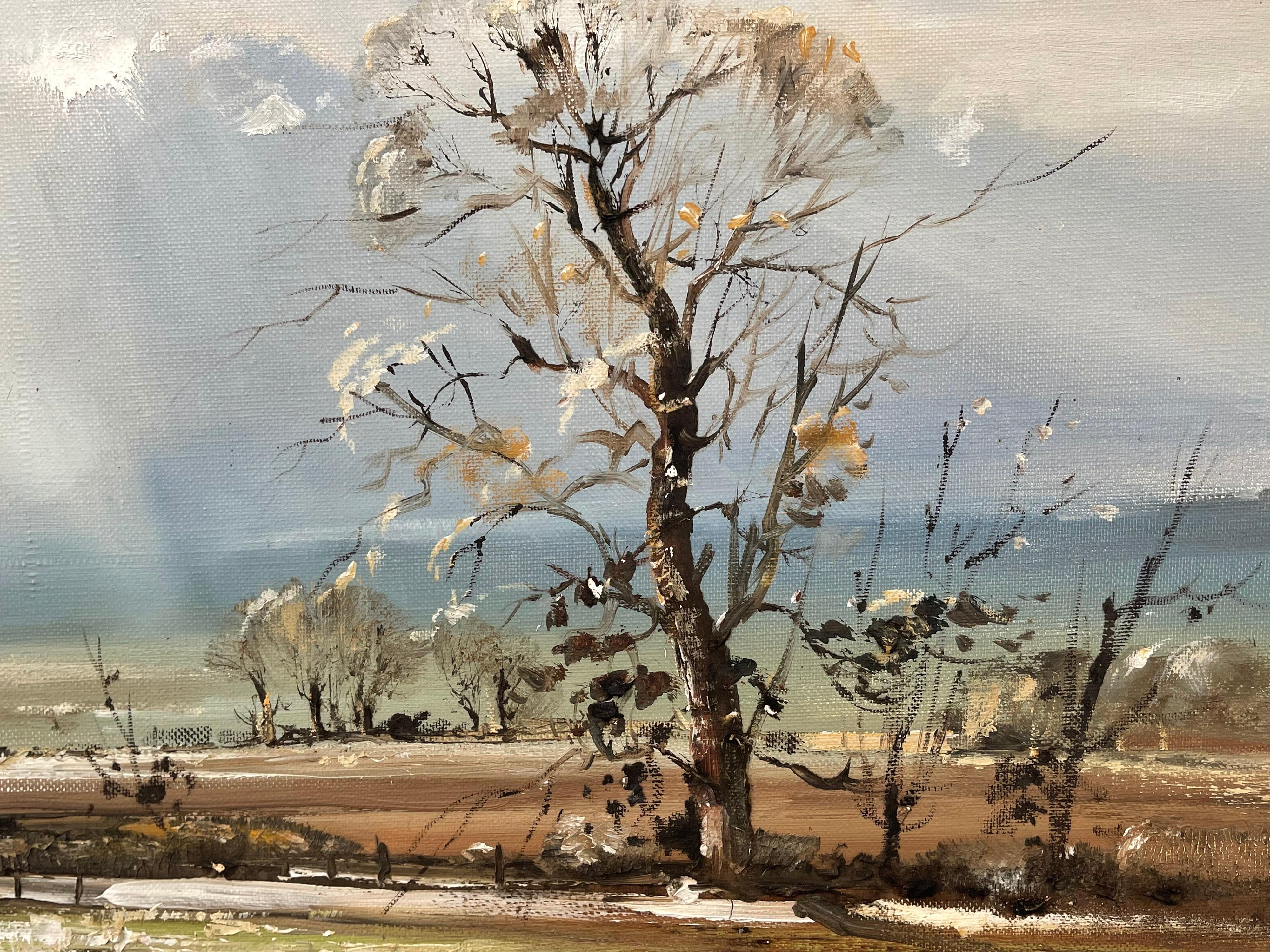 Paysage irlandais avec arbres, bâtiments et rayons de soleil par un artiste irlandais contemporain en vente 2