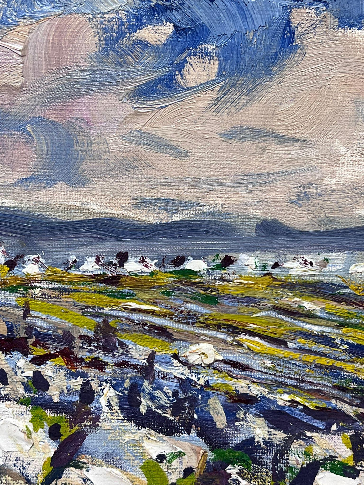 Mid 20th C. Irish Artist Oil Painting County Wickow Ireland Cloudy Landscape For Sale 3