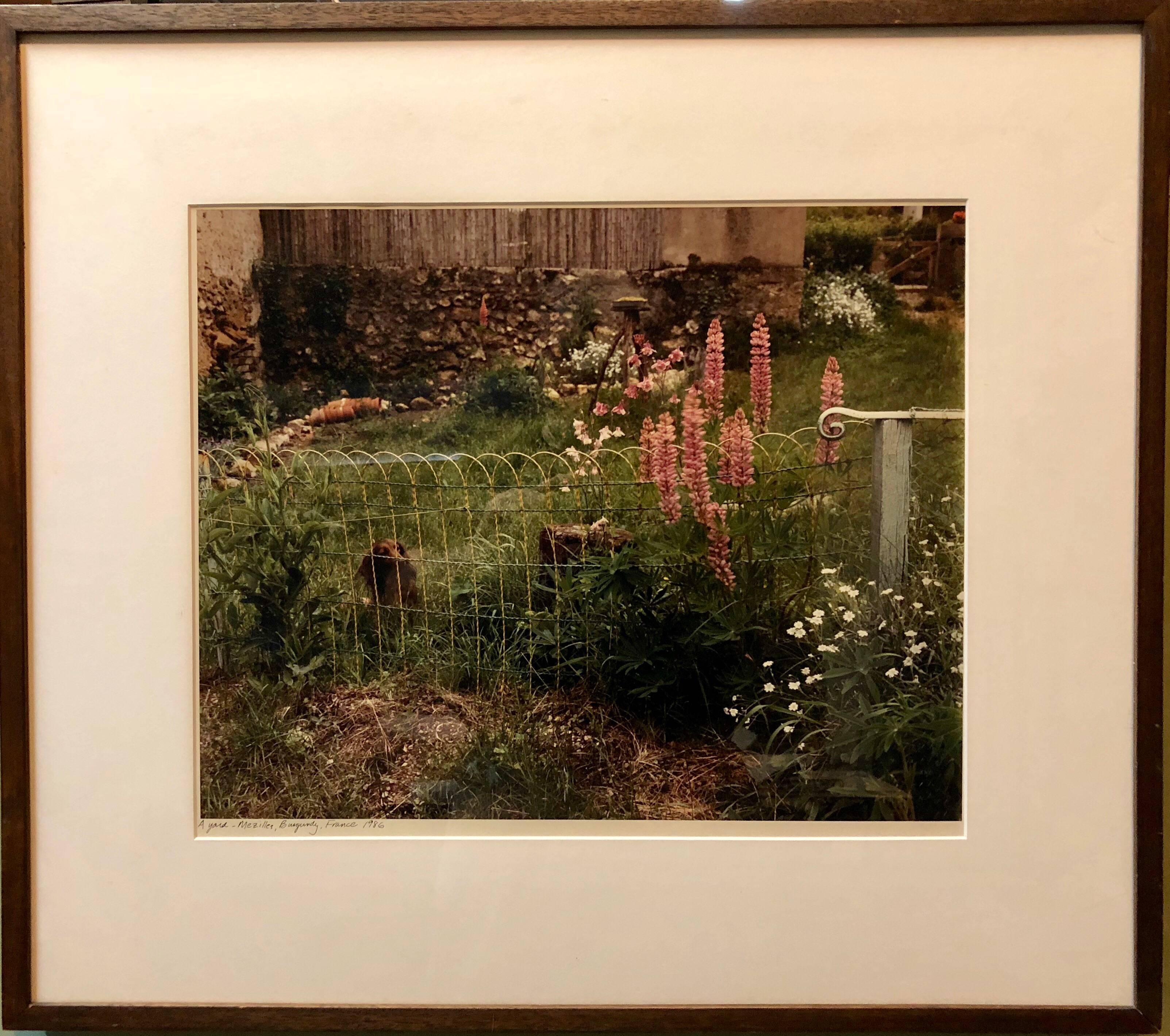 A Yard, Mezilles, Bourgogne, France. Photographie couleur vintage « Field Of Flowers », 1986 - Marron Landscape Photograph par Frank Gohlke