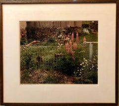 A Yard, Mezilles Burgundy France. Field Of Flowers 1986 Vintage Color Photograph