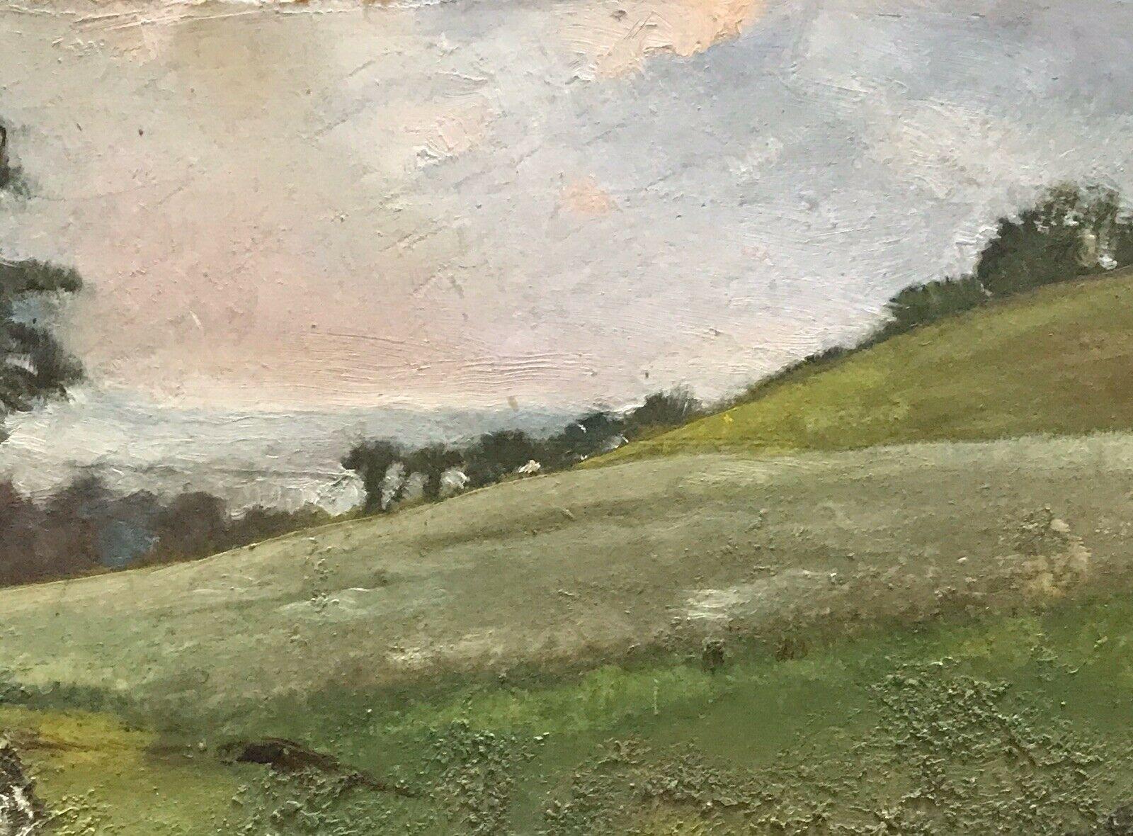 FRANK HOBDEN (1859-1936) FINE 1900s ENGLISH IMPRESSIONIST OIL - RURAL LANDSCAPE - Abstract Painting by Frank Hobden