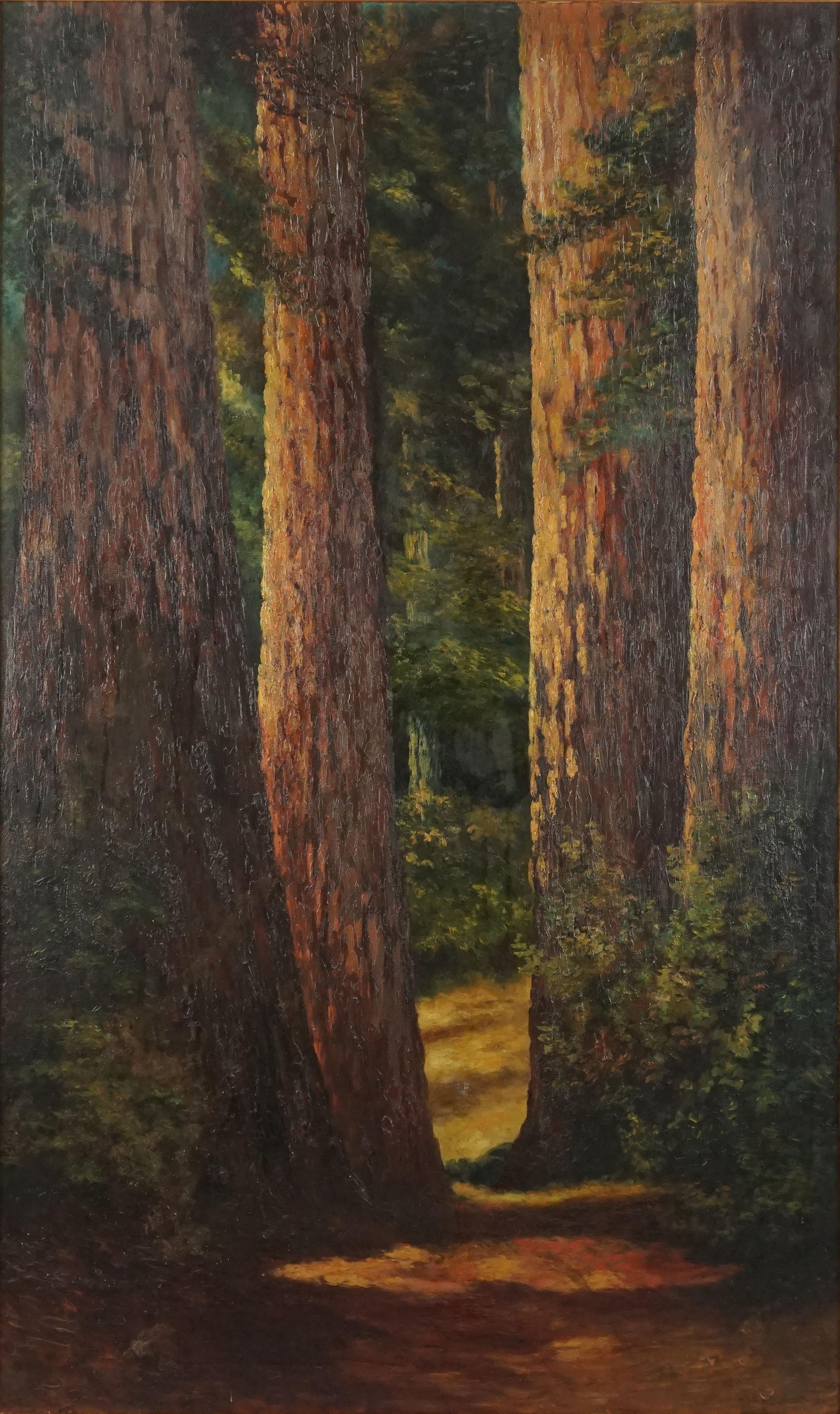 Turn of 20th Century Northern California Landscape -- Redwood Forest Floor - Painting by Frank Lucien Heath