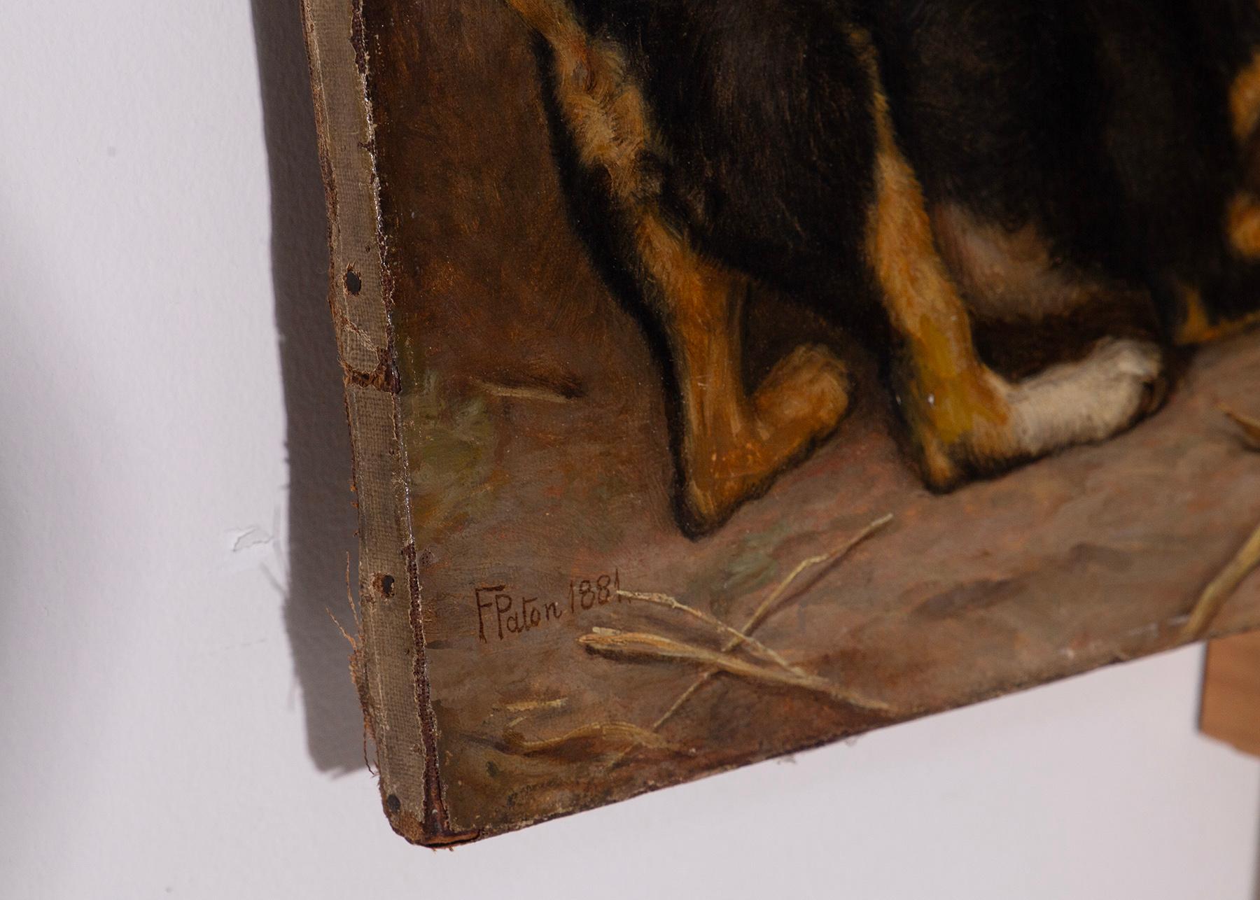 Frank Paton Oil painting on canvas of Puppies playing in vendita 3