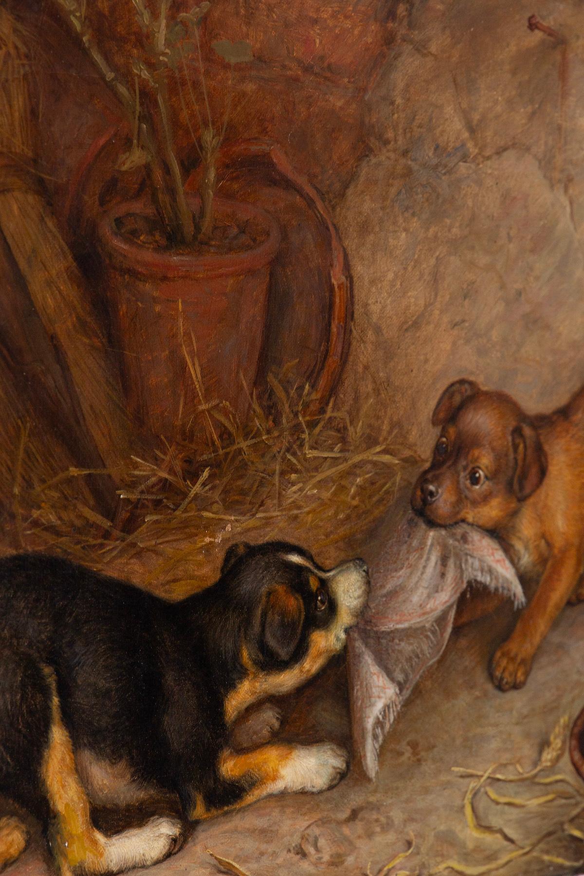 British Frank Paton Oil painting on canvas of Puppies playing in vendita