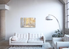 Aspen Study I - large scale photograph of Indian summer autumnal color palette