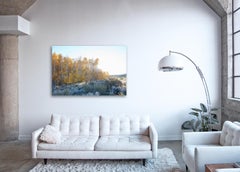 Aspen Study III - fotografia in grande scala della tavolozza di colori autunnali dell'estate indiana