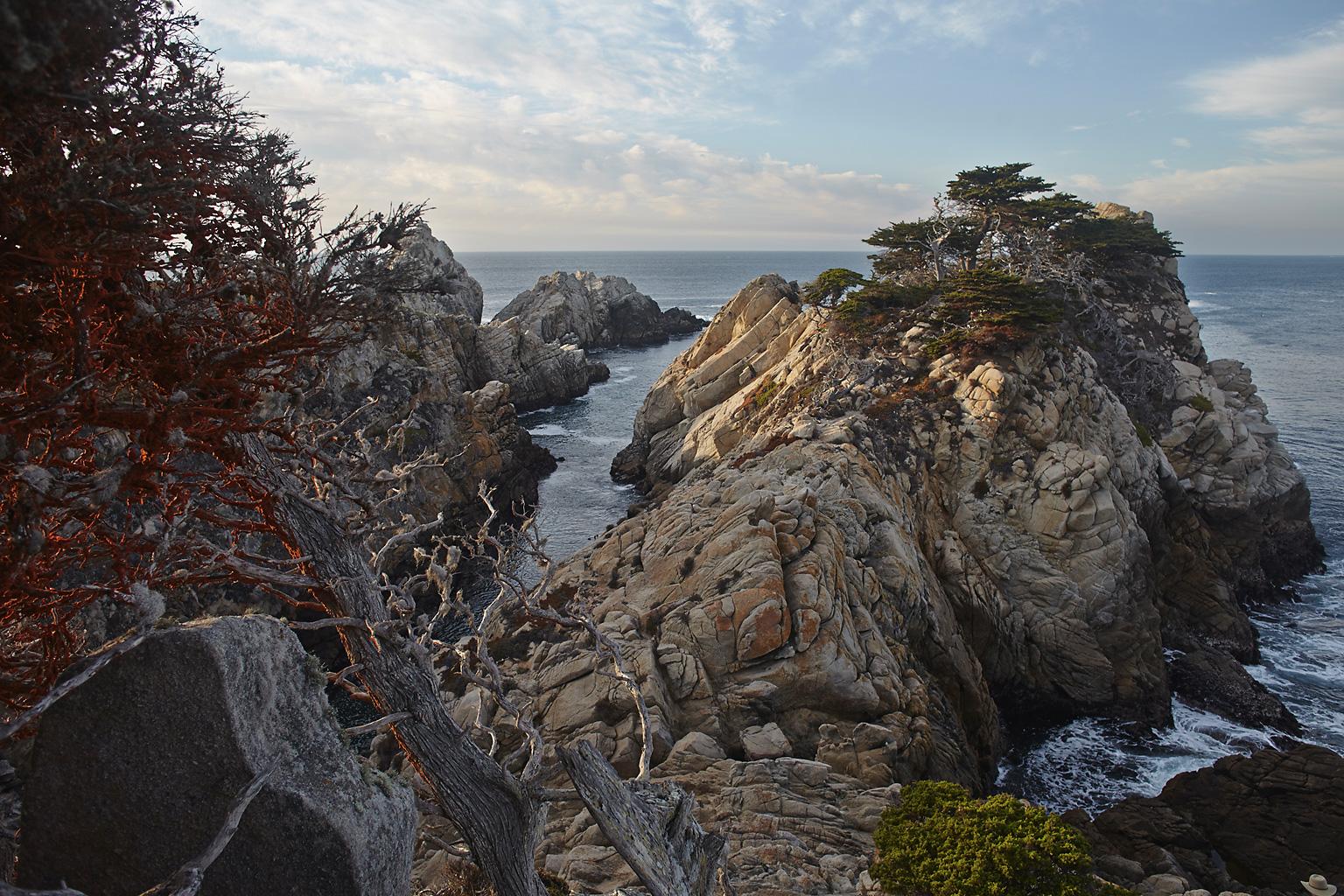 Frank Schott Landscape Photograph - Big Sur - large format photograph of iconic California coastal landscape