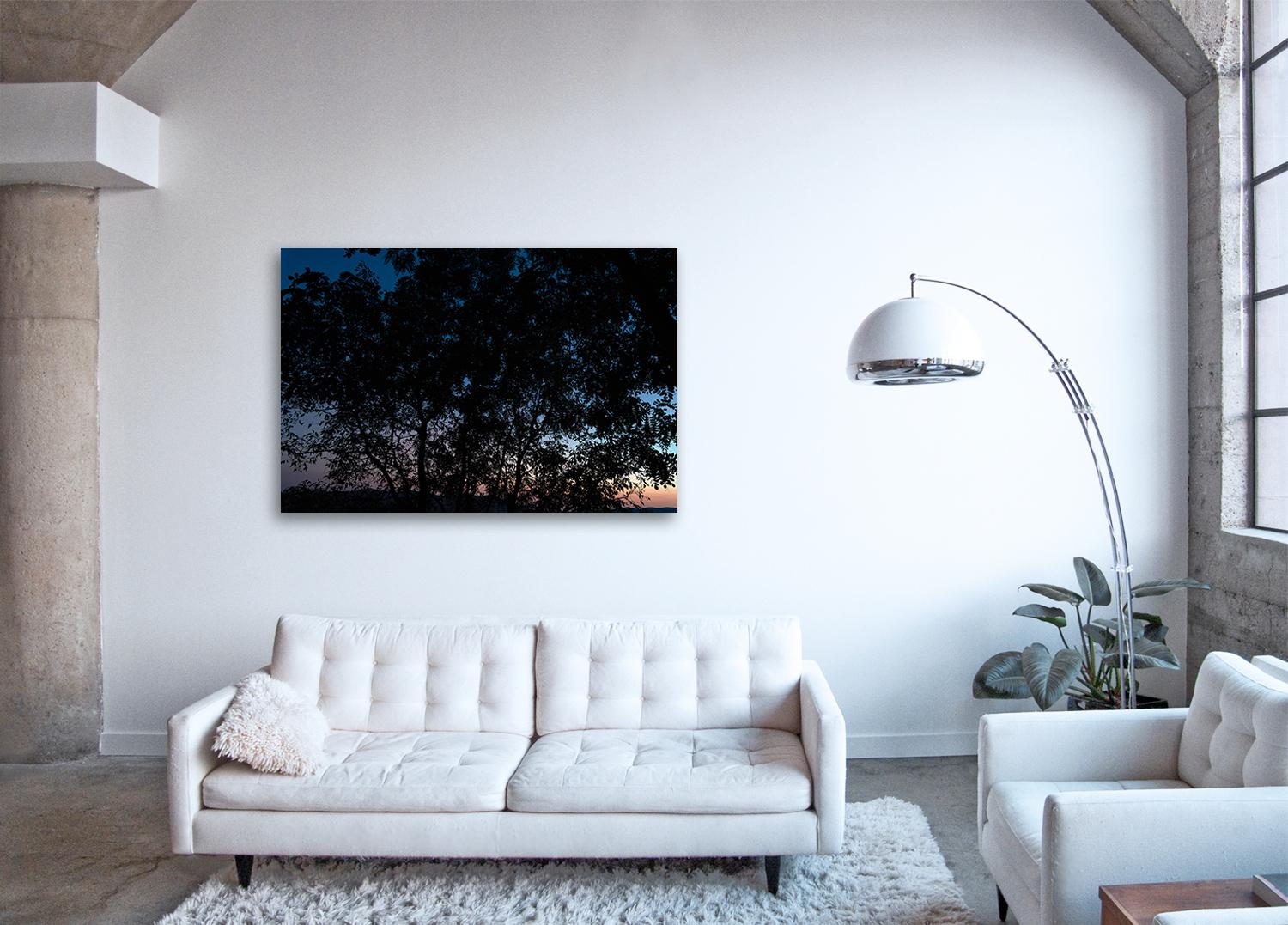 Blue Hour - large format photograph of ethereal foliage against evening sky - Black Landscape Print by Frank Schott