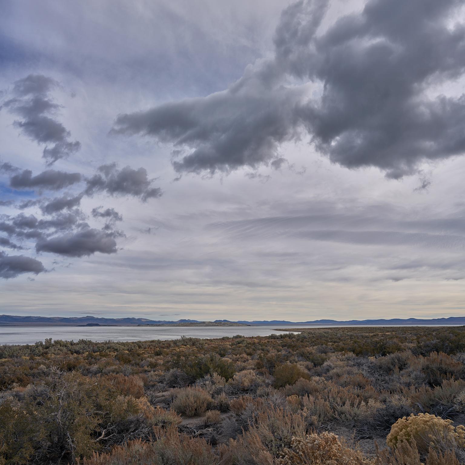 Color Photograph Frank Schott - California Mono - grande photographie d'un paysage désertique monochrome infini