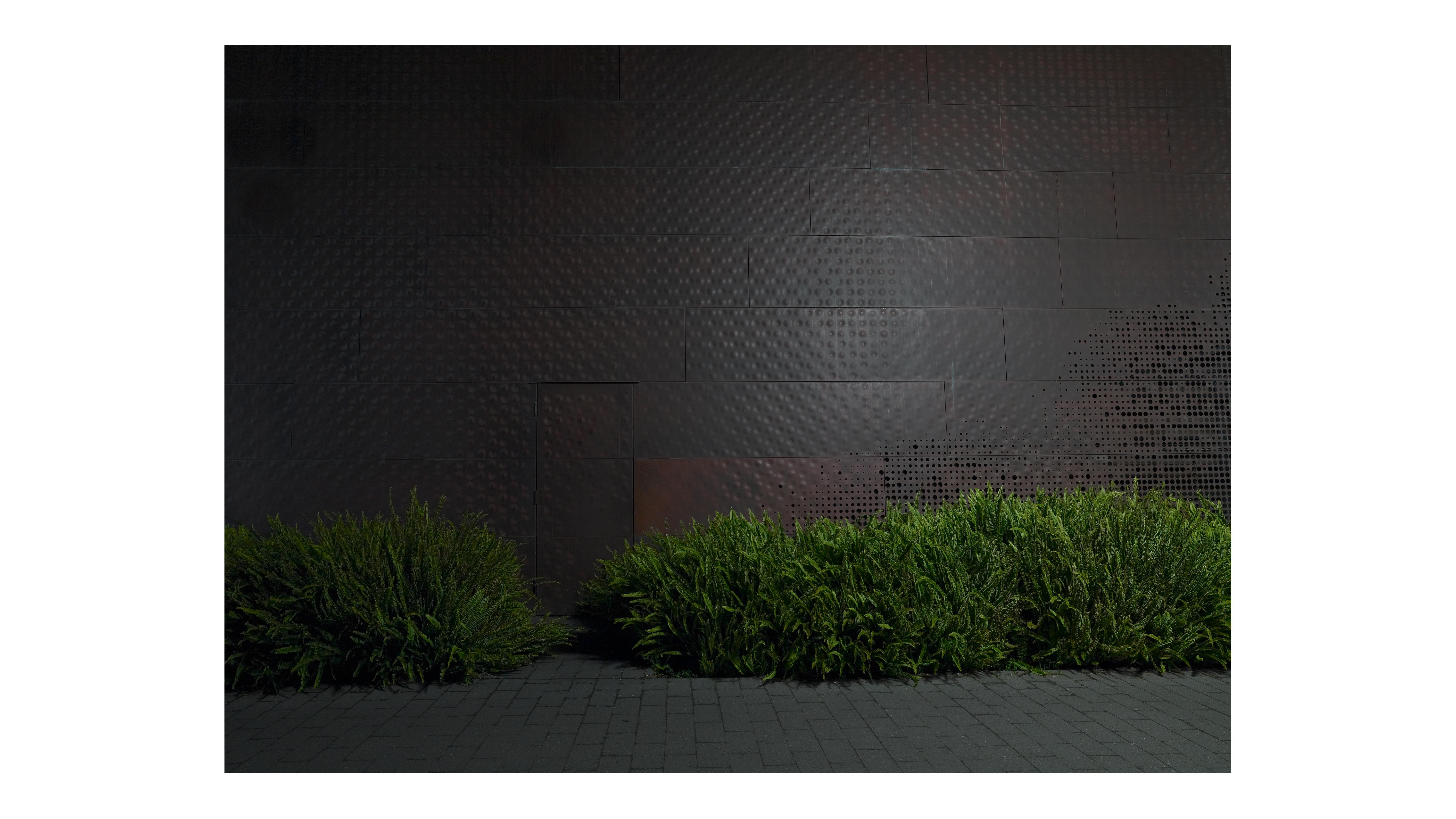 de Young - tactile elements of iconic San Francisco museum architecture - Photograph by Frank Schott