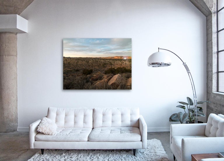 Desert Daze - light effect in California desert landscape with endless horizon - Contemporary Photograph by Frank Schott