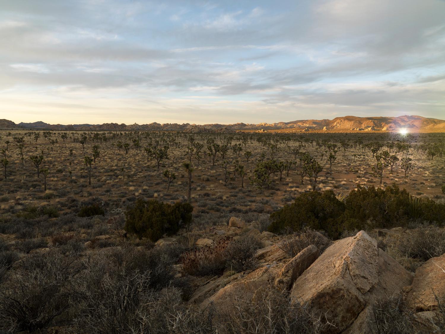 Color Photograph Frank Schott - Daze du désert - effet de lumière dans un paysage désertique californien à l'horizon infini