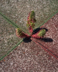 Found Object B - osservazione di grande formato di vignette urbane astratte a colori