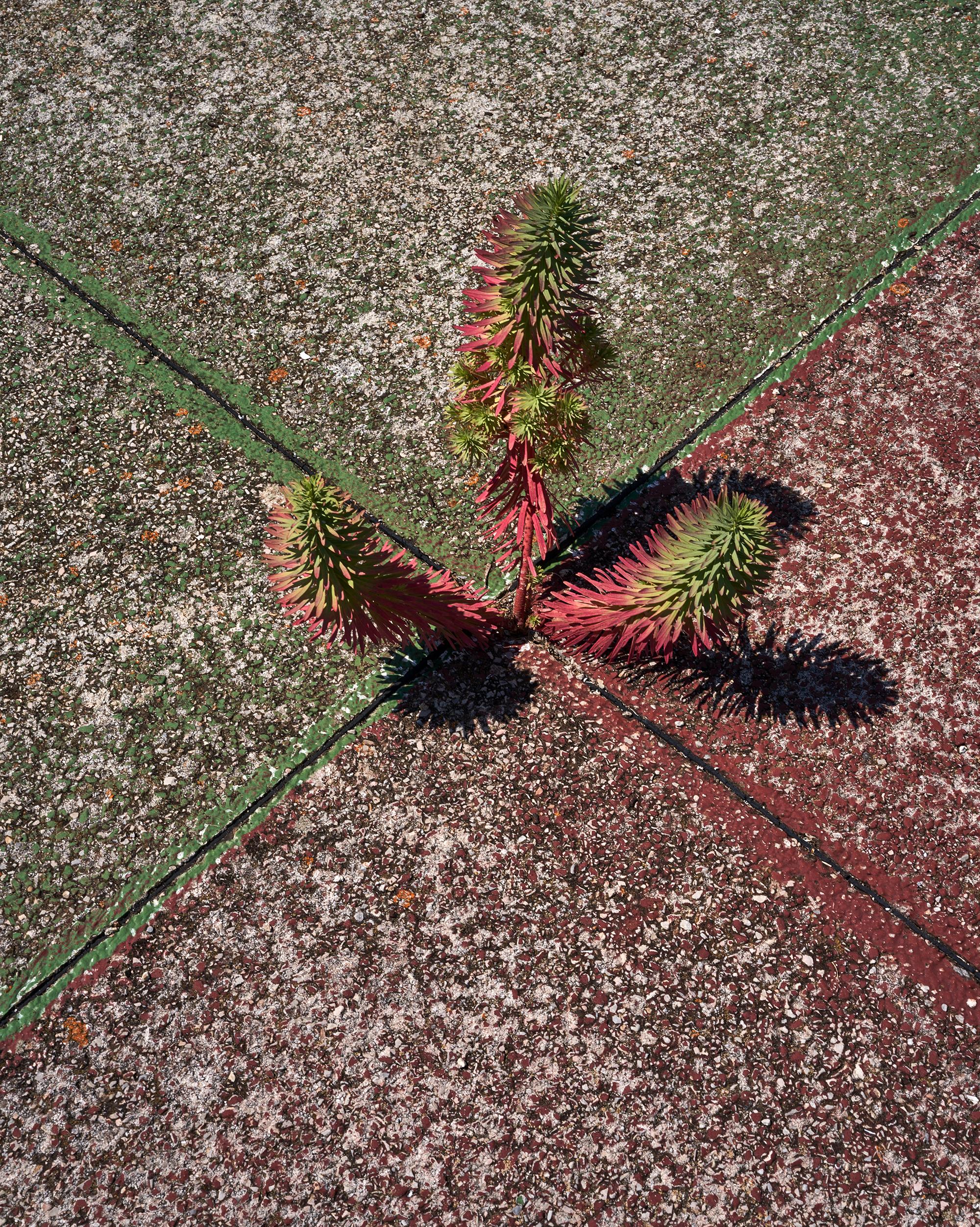 Still-Life Print di Frank Schott - Found Object B - osservazione di grande formato di vignette urbane astratte a colori