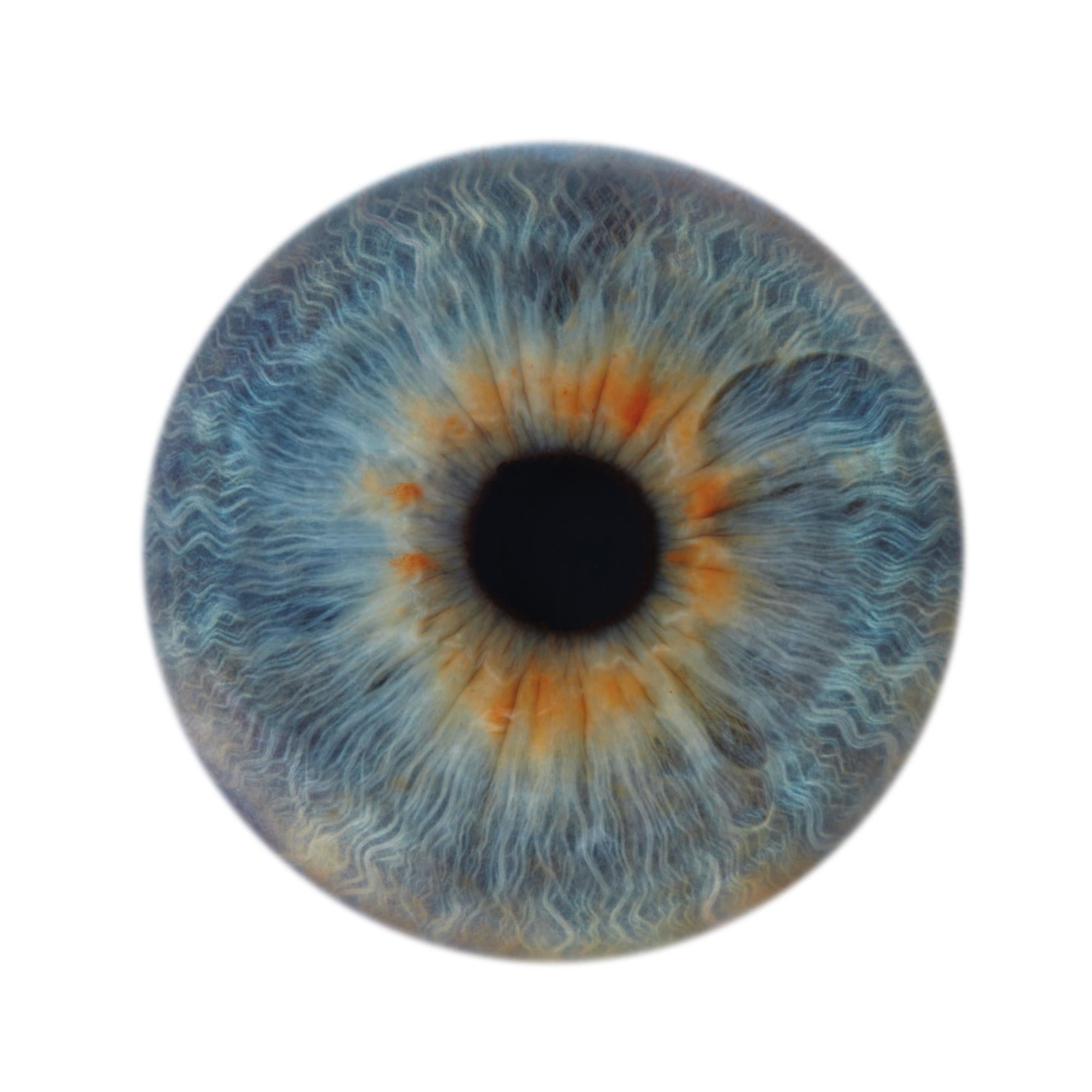 IRIS I - unique abstraction of colors in circular glass frame (45" diameter)