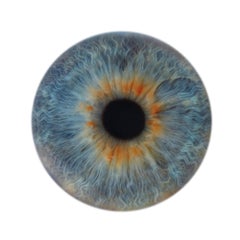 IRIS I - unique abstraction of colors in circular glass frame (45" diameter)