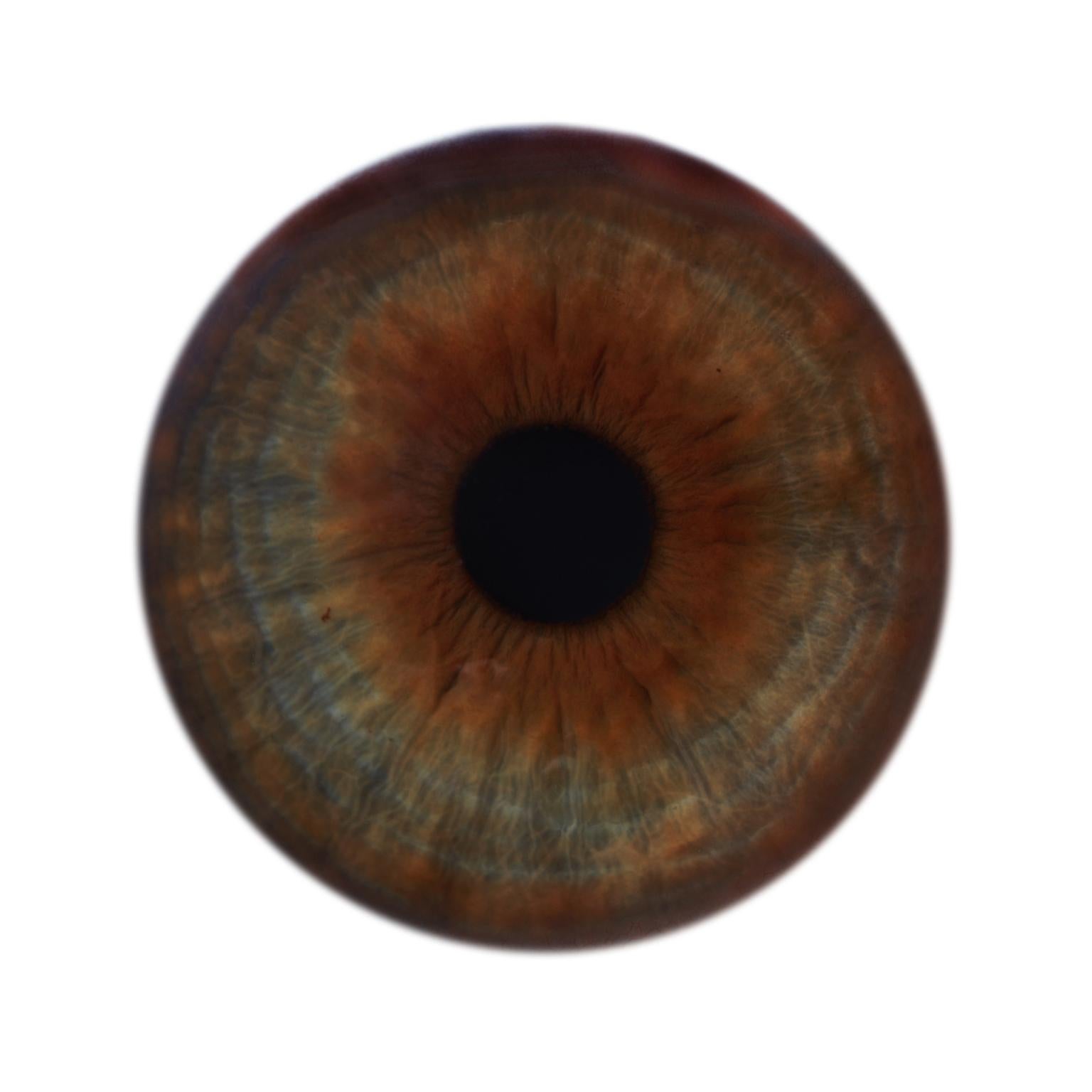 IRIS II  - abstracción única de colores en marco circular de cristal (45