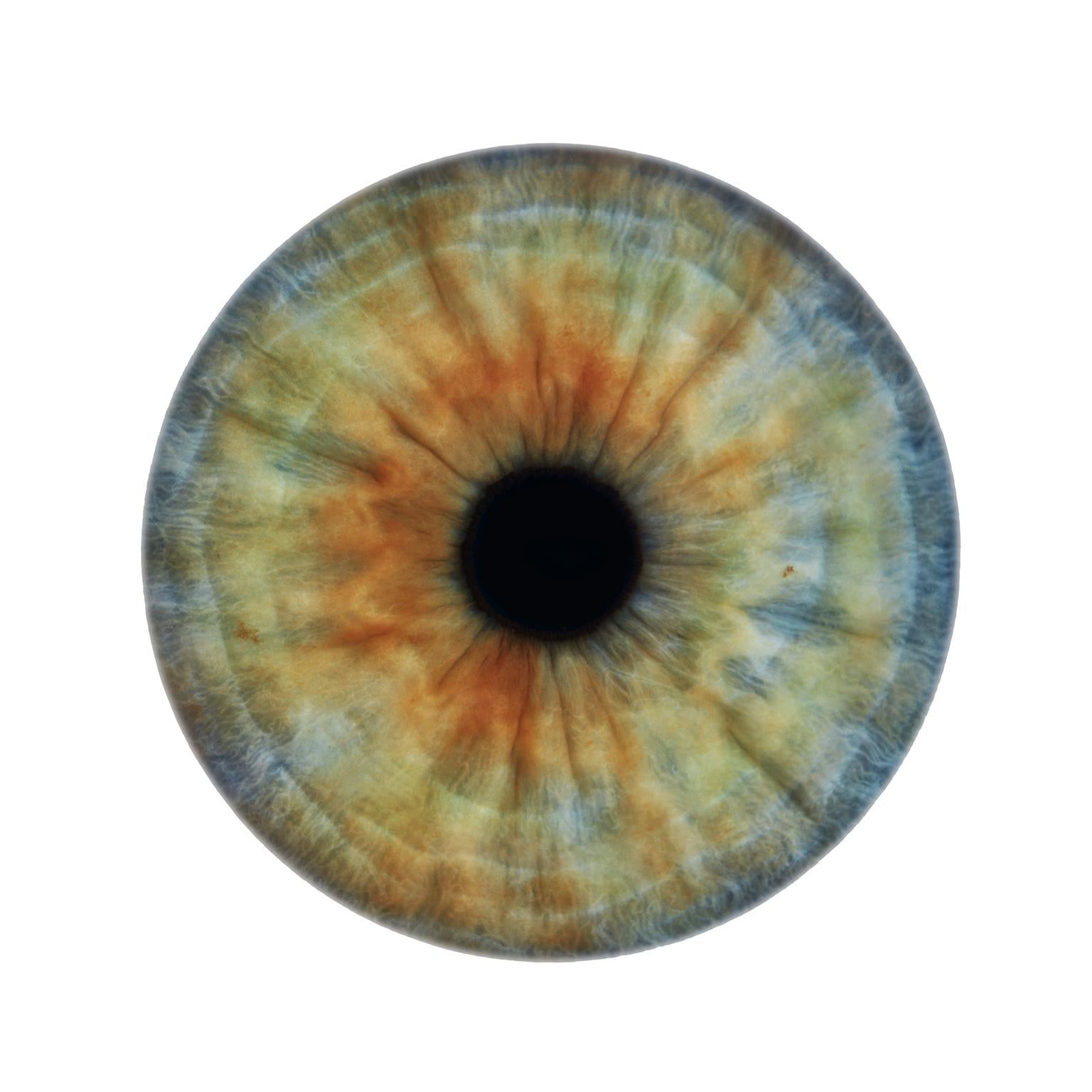 Frank Schott Abstract Print – IRIS IV  - einzigartige Abstraktion der Farben in rundem Glasrahmen (45 Zoll Durchmesser)