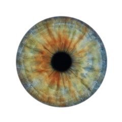 IRIS IV  - unique abstraction of colors in circular glass frame (45" diameter)