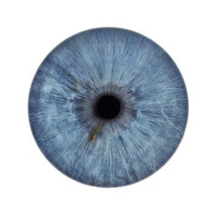 IRIS V - unique abstraction of colors in circular glass frame (45" diameter)