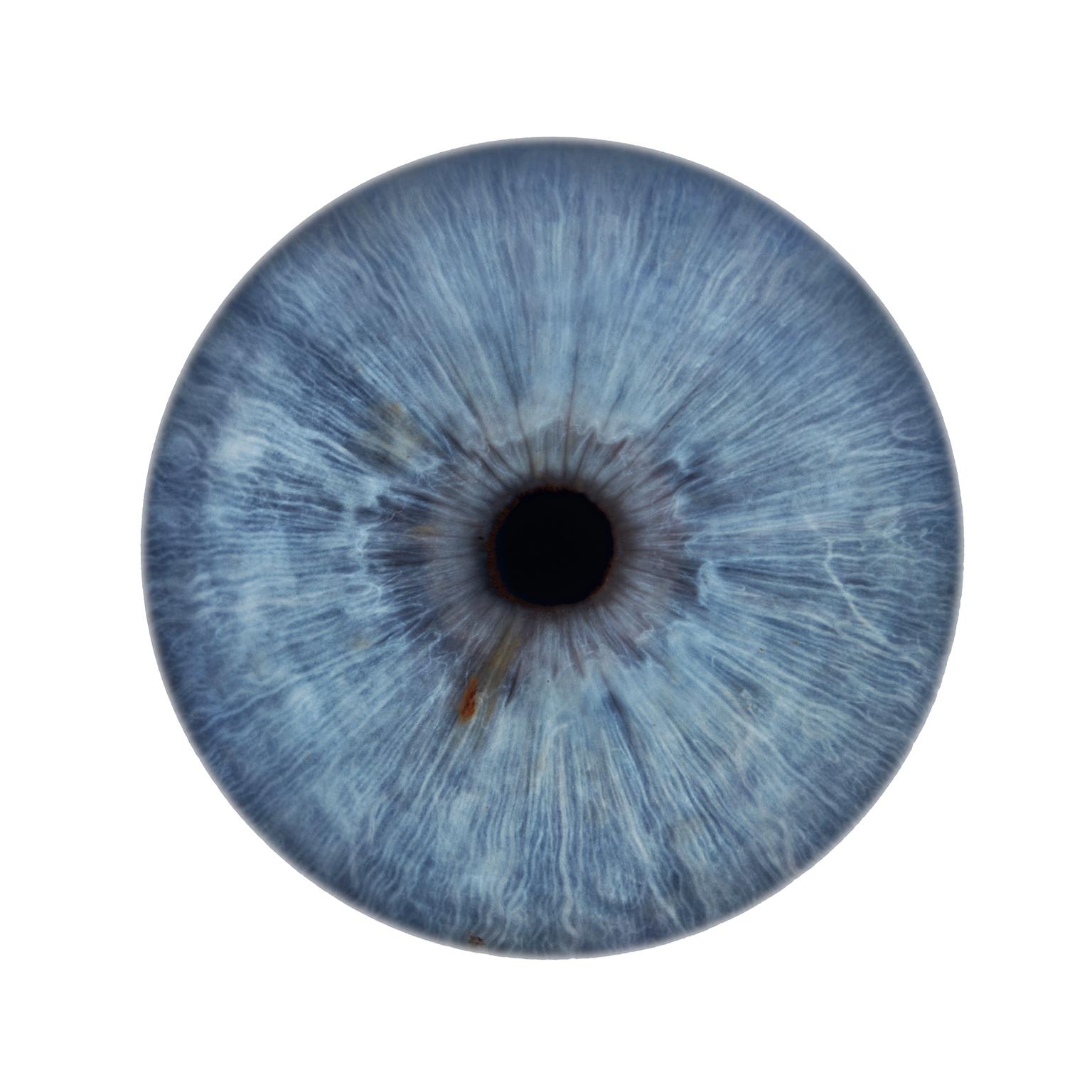a mesmerizing sea of abstract grey blue and aqua water color tones, from an ongoing photography project since the late 1990s, capturing the details of the human iris and a pupil's unique abstractions

Iris V by Frank Schott

45