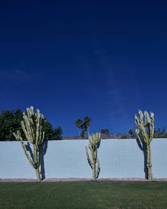 Palm Springs ( Cactus ) - a study of iconic mid century desert architecture