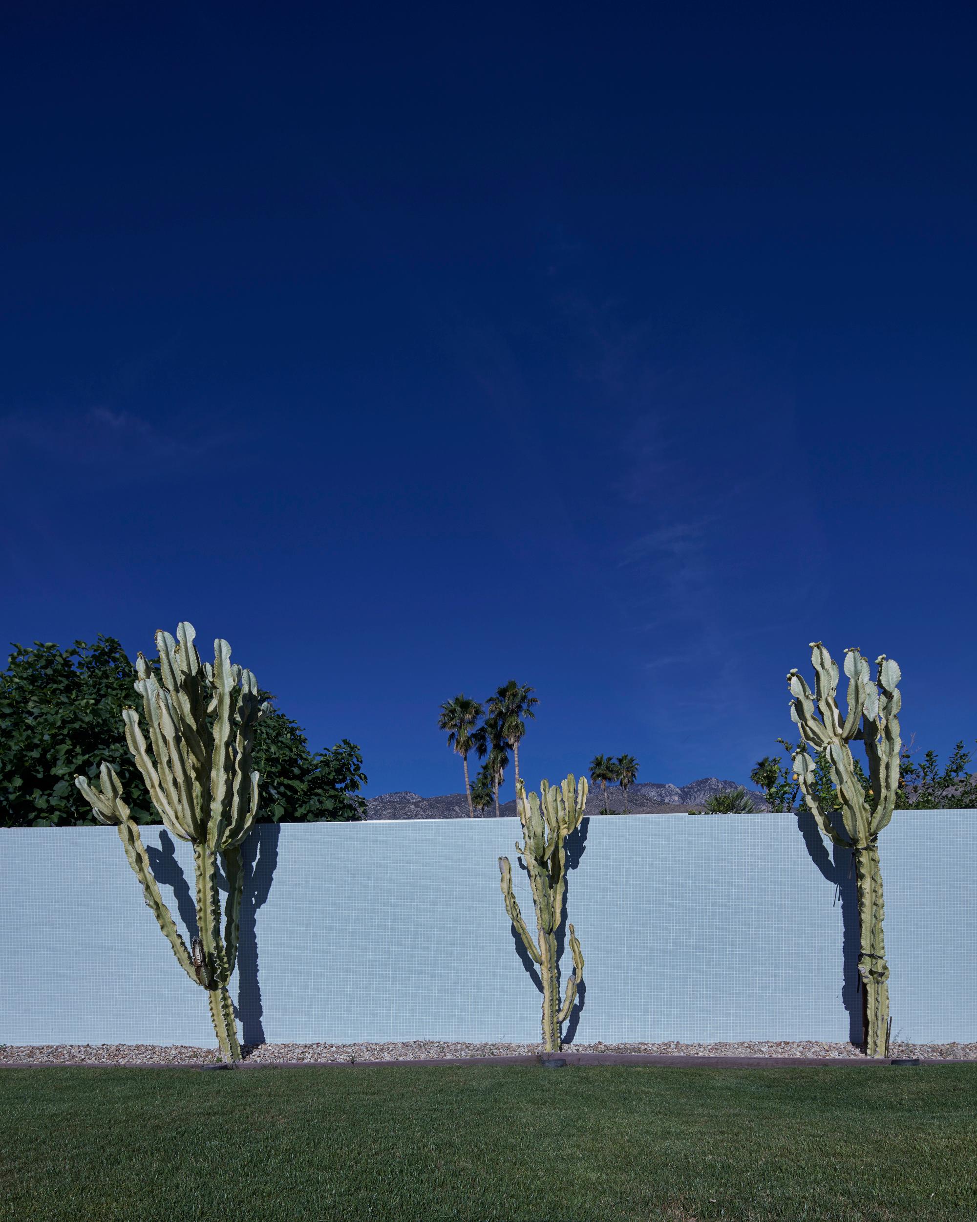 Frank Schott Color Photograph – Palm Springs ( Kaktus) – eine Studie der ikonischen Wüstenarchitektur aus der Mitte des Jahrhunderts