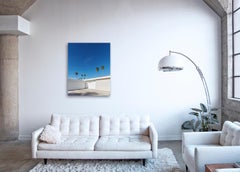 Palm Springs ( Agua ) - un estudio de la arquitectura icónica del desierto de mediados de siglo