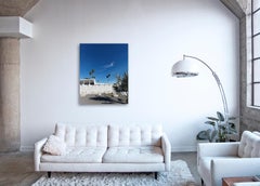 Palm Springs ( Blanco ) - un estudio de la arquitectura icónica del desierto de mediados de siglo