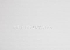 Topiary I - large format photograph of ornamental shaped tree